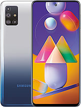 Samsung Galaxy M31s (SM-M317F)