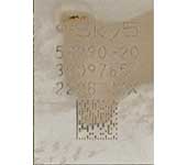 SKY58290-20
