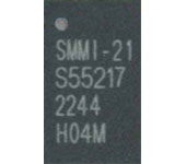 S55217-21
