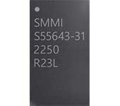 S55643-31