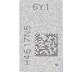 6Y1