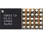 SM3010
